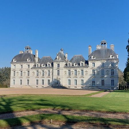 Trainefeuilles - Chambres D'Hotes Proche Zoo De Beauval Le Controis-en-Sologne Luaran gambar