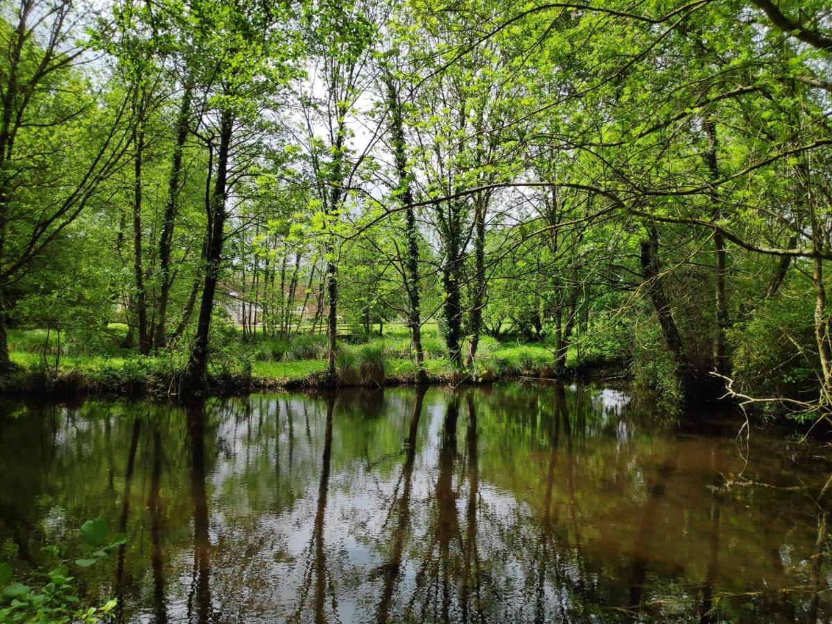 Trainefeuilles - Chambres D'Hotes Proche Zoo De Beauval Le Controis-en-Sologne Luaran gambar