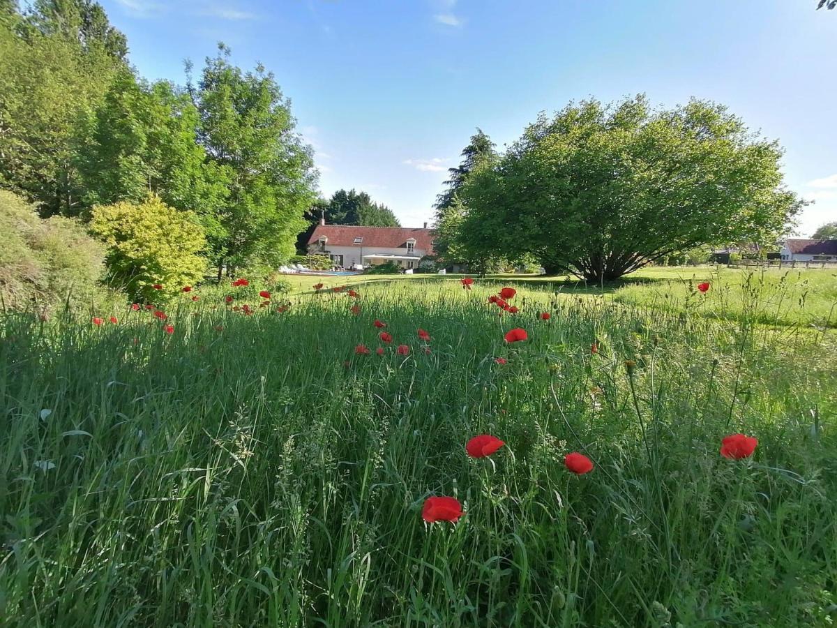 Trainefeuilles - Chambres D'Hotes Proche Zoo De Beauval Le Controis-en-Sologne Luaran gambar