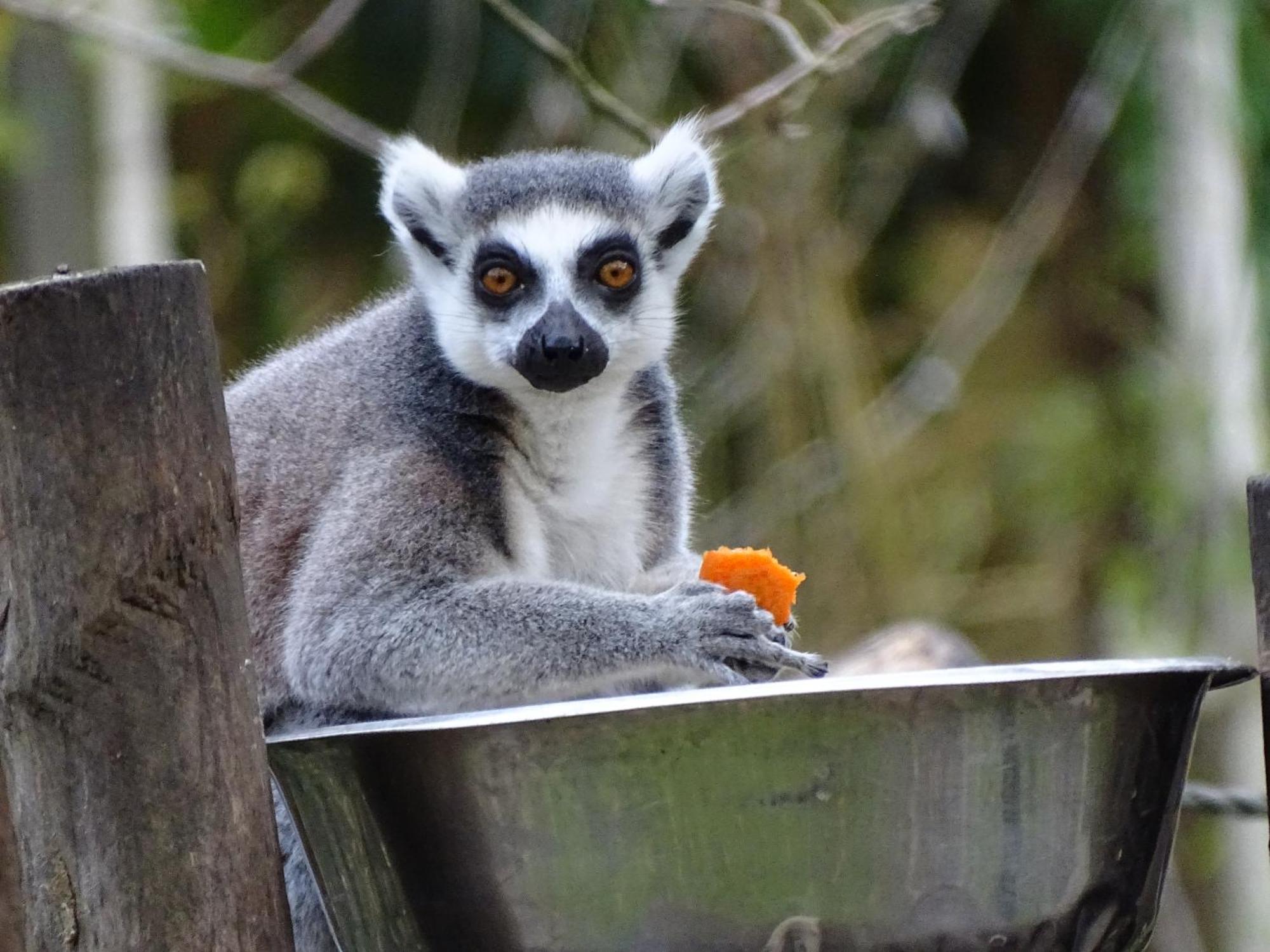 Trainefeuilles - Chambres D'Hotes Proche Zoo De Beauval Le Controis-en-Sologne Luaran gambar