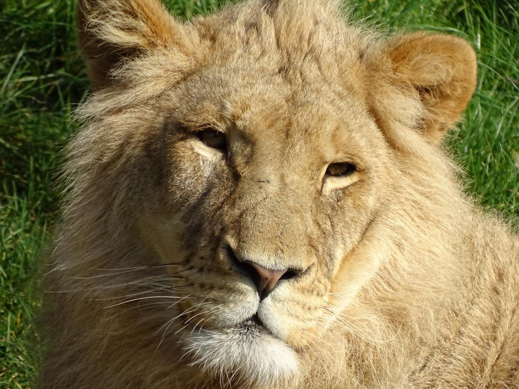 Trainefeuilles - Chambres D'Hotes Proche Zoo De Beauval Le Controis-en-Sologne Luaran gambar
